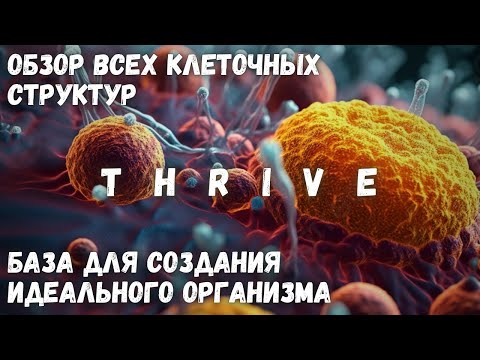 Видео: Гайд На Идеальный Организм - Thrive - Обзор Всех Клеточных Структур