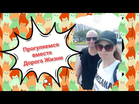 Видео: Дорога Жизни/Ленобласть/Всеволожск/ВЛОГ о Питере