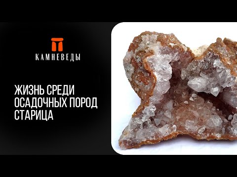 Видео: Жизнь среди осадочных пород. Старица