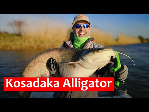 Видео: Обзор доступного силового удилища Kosadaka Alligator