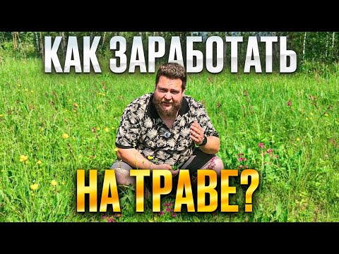 Видео: ЗАРАБОТОК ОТ 10Т. Р. ЗА ДЕНЬ/СМОЖЕТ ДАЖЕ РЕБЁНОК
