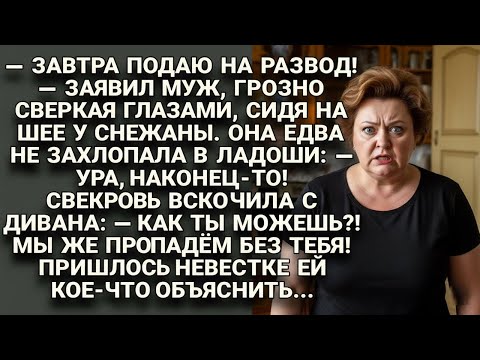 Видео: — Развод? Отлично! — сказала я. А свекровь вдруг поняла, кто их всех кормил…