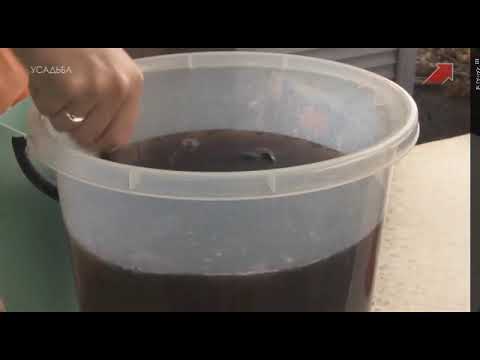 Видео: "Фитоаптека", 3 серия. Марина Рыкалина и Виталий Декабрев. "Усадьба"