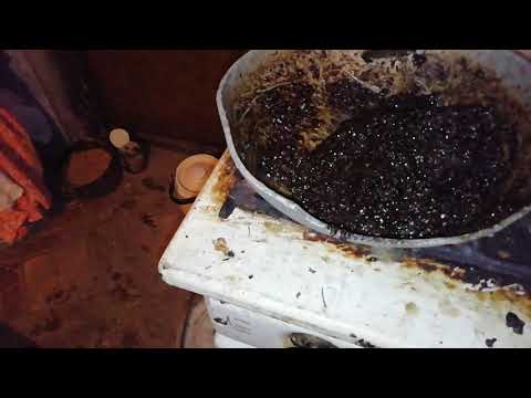 Видео: Как поймать рой. Лучшая приманка для роя пчёл. Проверено.