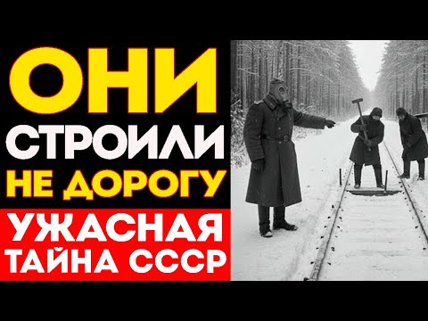 Видео: ЭТО СЕНСАЦИОННОЕ РАССЛЕДОВАНИЕ: Что НА САМОМ ДЕЛЕ Скрыл СССР в Тайге Под Видом БАМа?