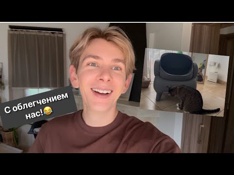 Видео: НИКОГДА ТАК НЕ РАДОВАЛСЯ ЛОТКУ! РАСПАКОВКА ВЕКА🐈👌