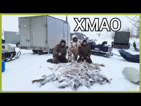 Видео: Дикие озёра в Хмао. Рыбалка мечты.