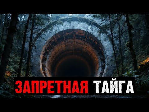 Видео: ПОДЗЕМНЫЕ ТОННЕЛИ ПОД ТАЙГОЙ: ЧТО НАШЛИ ИССЛЕДОВАТЕЛИ И ПОЧЕМУ ЗАПРЕЩЁН ВХОД