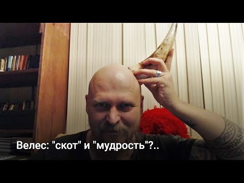 Видео: Велес: "скот" и "мудрость"?..