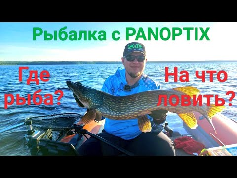 Видео: Рыбалка на озере с Panoptix LiveScope 
