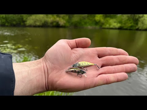 Видео: ОНИ ловят ВСЕ и ВЕЗДЕ! ЛУЧШИЕ приманки на ЖЕРЕХА и ГОЛАВЛЯ летом и весной!