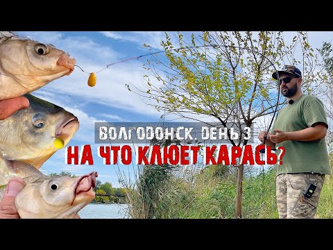 Видео: НА ЧТО лучше КЛЮЕТ карась? Червь, кукуруза или бойлы?