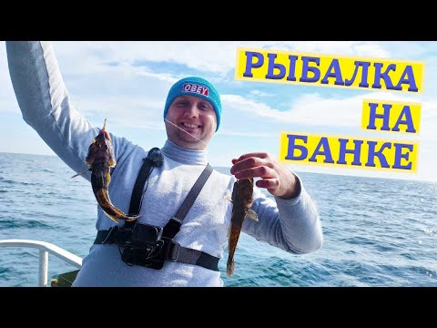 Видео: Рыбалка на Черном море. Как поймать кнута| Снасти на кнута. Иван Кричкин