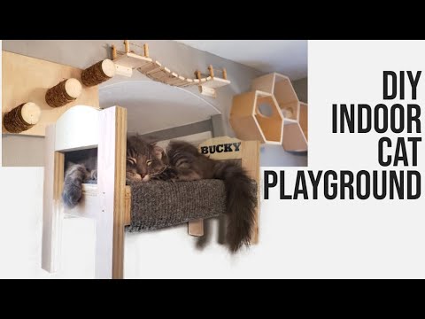 Видео: Идеальная самодельная игровая площадка для кошек, которую нельзя пропустить