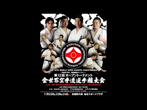 Видео: 12-й Чемпионат мира ИКО (2019). Блоки A-B. Круги 1- 3.