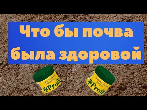 Видео: Как избавиться от вредителей в почве