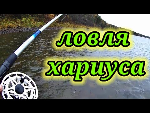 Видео: Ловля хариуса 👆. Осенняя рыбалка 👆