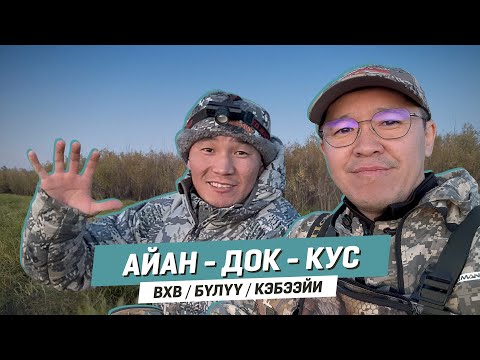 Видео: Айан - Документалка - Кус | ВХВ БҮЛҮҮ КЭБЭЭЙИ
