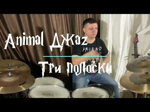 Видео: Animal Джаz - Три полоски @ Drum cover