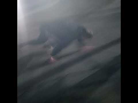 Видео: leigharch – сиги 0 😔