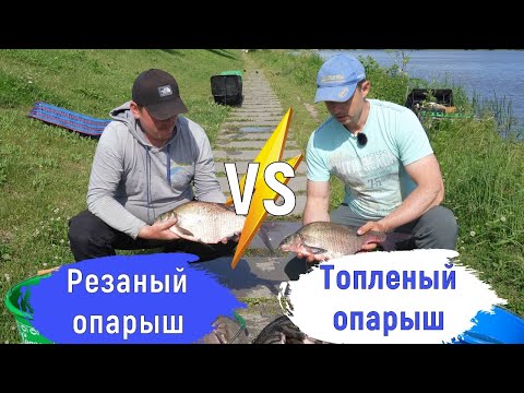 Видео: Марьино: Резаный опарыш vs. Топленый опарыш