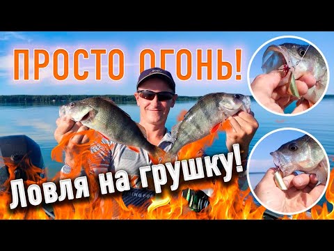 Видео: Ловля на ГРУШКУ / Уловистая джиговая приманка на судака окуня и щуку