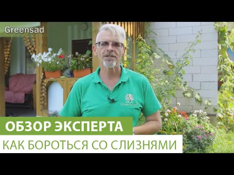 Видео: Как бороться со слизнями