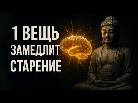 Видео: 1 вещь поможет вам остановить старение.