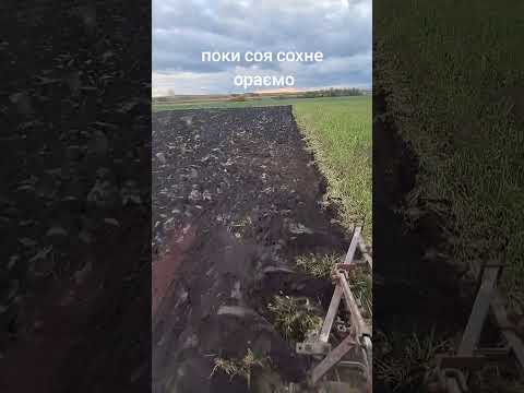 Видео: #оранка #мтз #плуг #плн