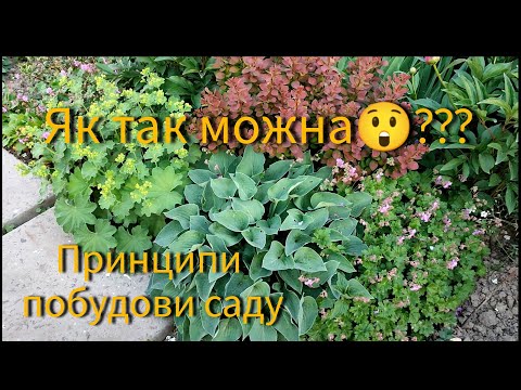 Видео: Як так можна😲??? Принципи побудови саду на прикладі нової ділянки