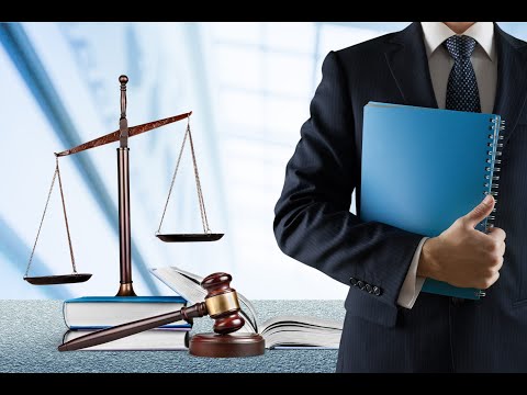 Видео: IT vs Юриспруденция что выбрать Часть 2