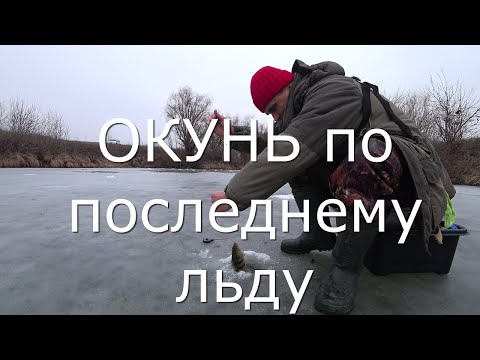 Видео: Бешенный клев окуня по последнему льду...танки грязи не бояться....