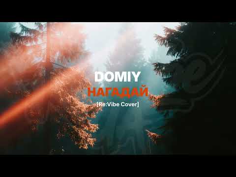 Видео: Domiy - Нагадай [Re:Vibe Cover]