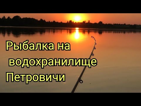 Видео: Рыбалка на водохранилище Петровичи!!! Фидерная рыбалка в Беларуси.