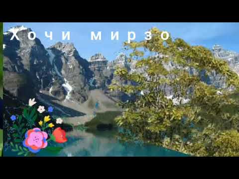 Видео: Хочи мирзо савол чавоб бехтарин зуд гушкнед