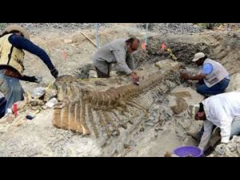 Видео: Розкопки Годзіли і Бруно Тракторист