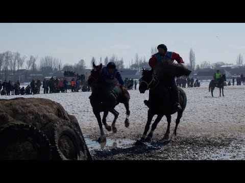 Видео: Ысык-Көл көкбөрү Жети-Өгүз vs  Корумду