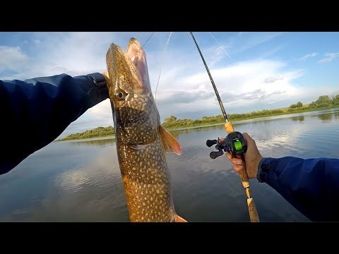Видео: Большая ЩУКА на Маленькую ПРИМАНКУ!!! (Возможно?)