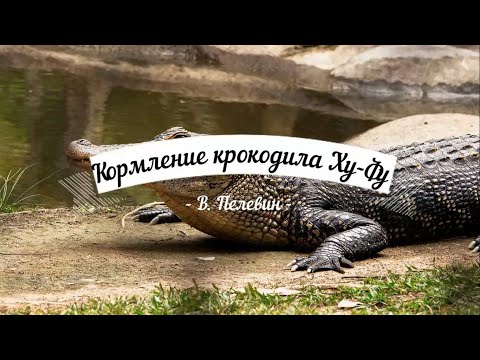 Видео: Виктор Пелевин. Кормление крокодила Хуфу