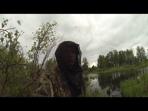 Видео: Ловля карася фитилями, отличный улов