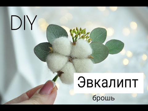 Видео: Как сделать Эвкалипт из фоамирана  Мастер класс Брошь с хлопком. Часть 2.