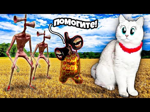 Видео: Наши Кошки спасли СИРЕНОГОЛОВОГО МАЛЫША!!!
