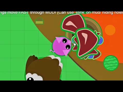 Видео: НЕ ЗАЛЕЗАЙ В ЭТУ НОРКУ!