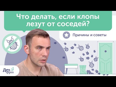Видео: Что делать, если клопы лезут от соседей? Причины и советы | Клопы в квартире Дезинсекция Дезинфекция