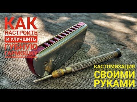 Видео: Как настроить губную гармошку. Основные действия. Урок №10. How to adjust a harmonica