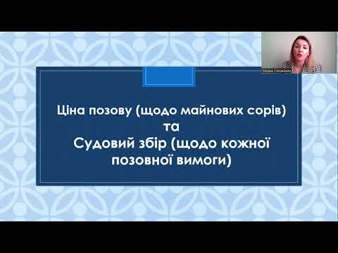 Видео: Написання позову, та інших заяв по суті.