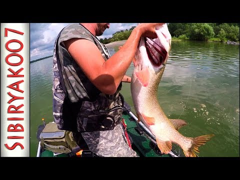 Видео: Я таких вживую не видел!!!.. Огромная ЩУКА на джиг. Вот это рыбалка!