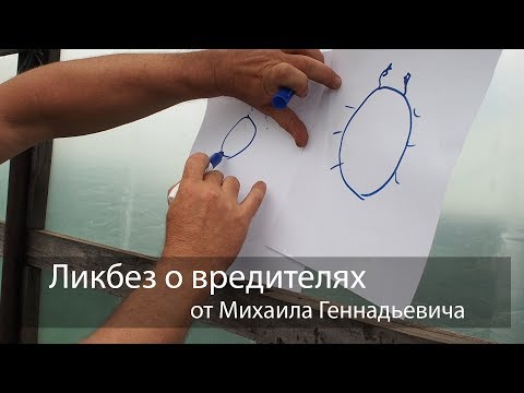 Видео: Ликбез о вредителях от Михаила Геннадьевича