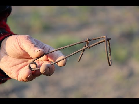Видео: Как поймать крота