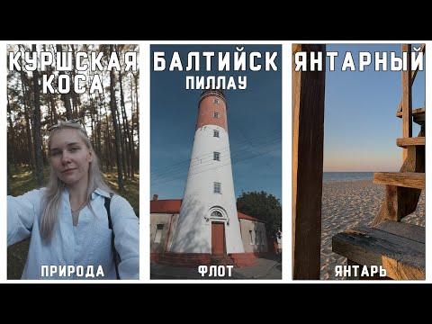 Видео: КУРШСКАЯ КОСА. БАЛТИЙСК. ЯНТАРНЫЙ: дикая природа, граница и разочарование | baltic trip